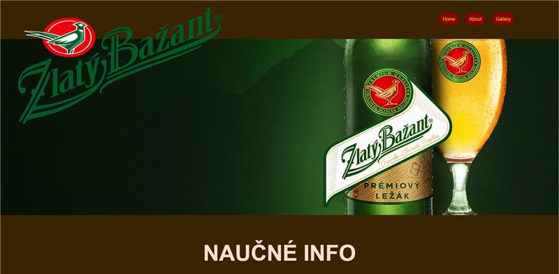 Projekt 1